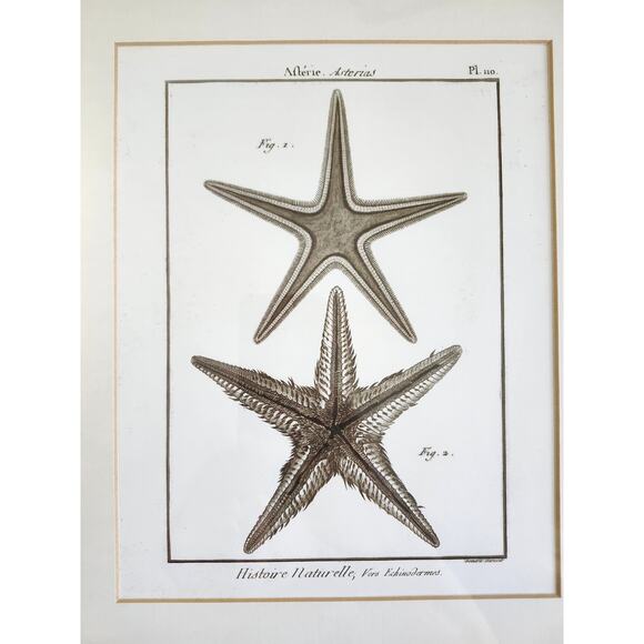 Lot 2 Large Pottery Barn Framed Starfish Beach Sea White Ocean Matte - Picture 5 of 7
